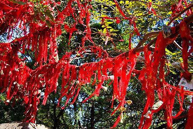 《枪匠模拟器》发布更新增添武器模式 Steam促销中