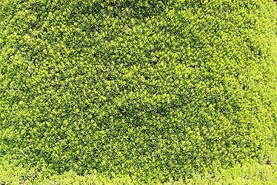 《孤岛惊魂6》新实机视频 玩家与动物互动展示